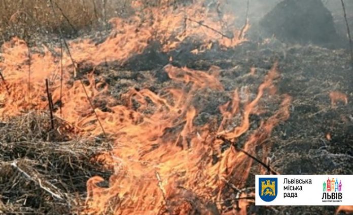 На вихідних в області збережеться висока пожежна небезпека На вихідних в області збережеться висока пожежна небезпека