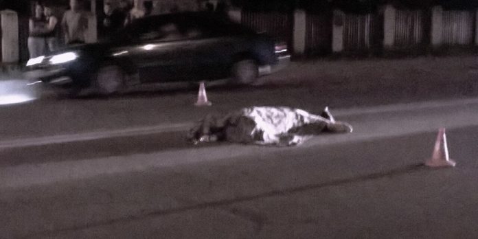 На Львівщині поліція розшукує водія, який на смерть збив пішохода і втік, покинувши авто На Львівщині поліція розшукує водія, який на смерть збив пішохода і втік, покинувши авто