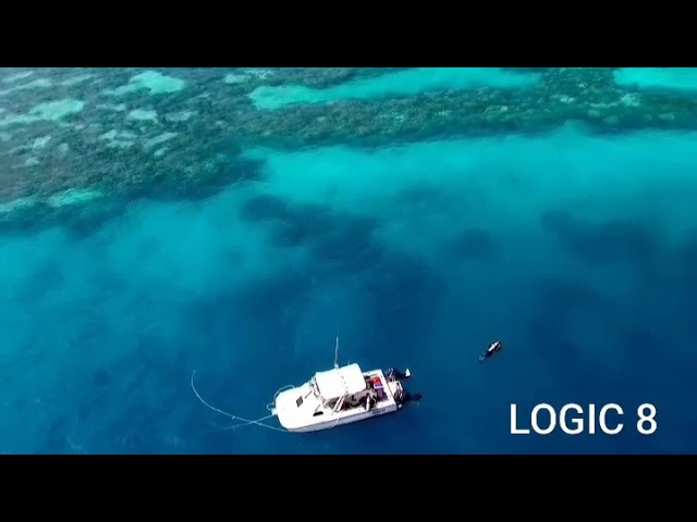 У Кораловому морі знайшли блакитну діру (відео)