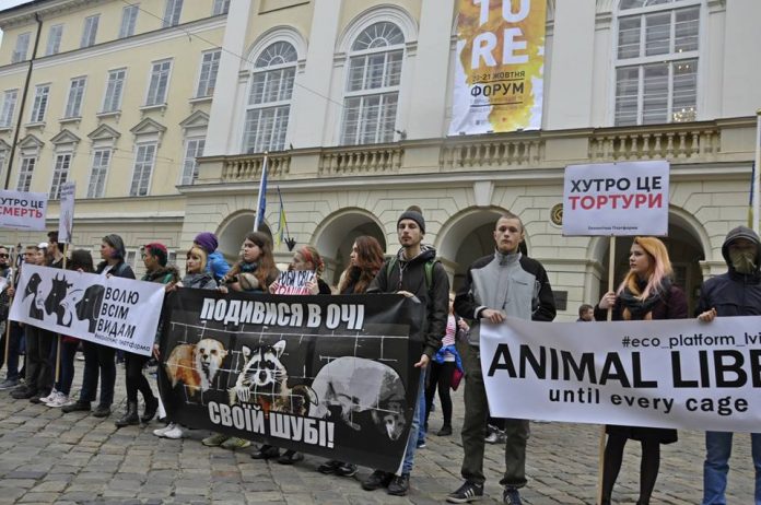 У Львові відбувся марш проти індустрії хутра У Львові відбувся марш проти індустрії хутра