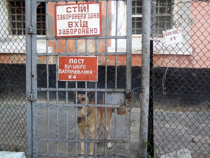 «Мене перетворюють на тварину»: ув’язнені Львівського СІЗО живуть з клопами та без повітря (репортаж) «Мене перетворюють на тварину»: ув’язнені Львівського СІЗО живуть з клопами та без повітря (репортаж)