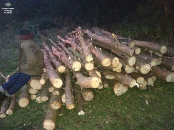 На Львівщині виявили незаконну вирубку лісу (фото) На Львівщині виявили незаконну вирубку лісу (фото)