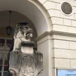 До Дня студента львівських левів вдягли у мантії (фоторепортаж) - 12