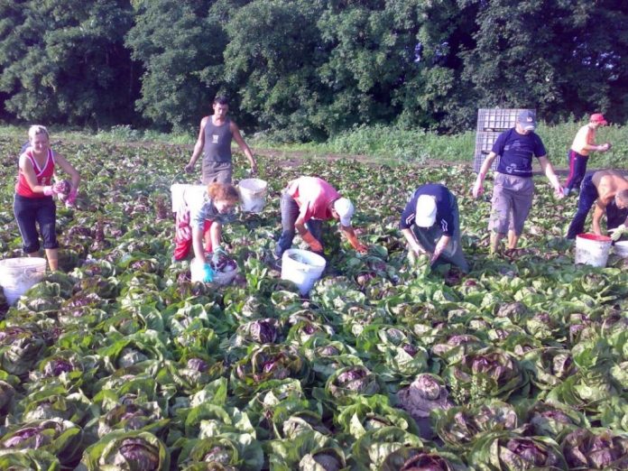 На Львівщині є 50% потенційних трудових мігрантів На Львівщині є 50% потенційних трудових мігрантів