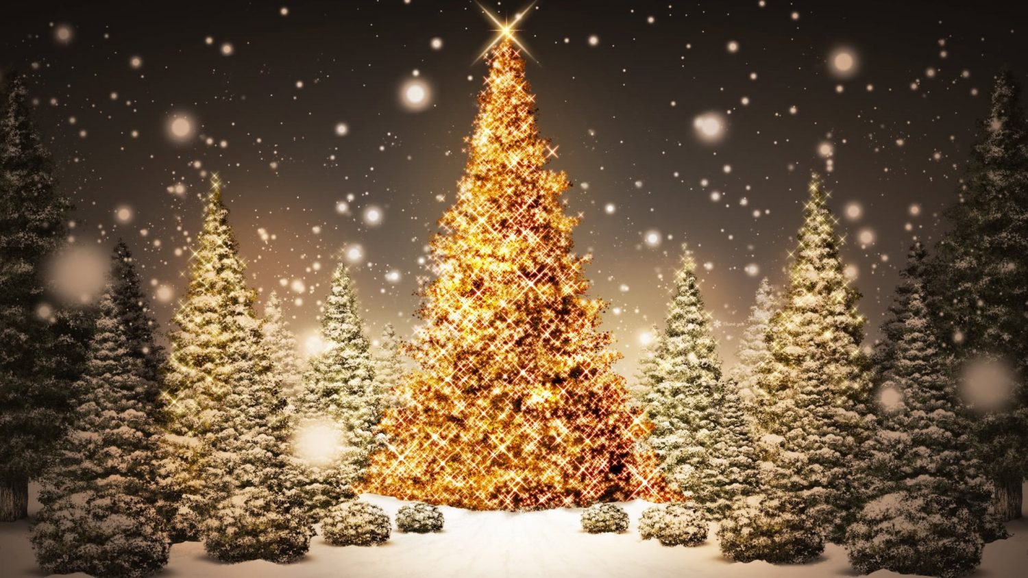 Christmas-tree-lights-up