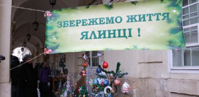 У Львові триває загальноміська акція «Збережемо життя ялинці» У Львові триває загальноміська акція «Збережемо життя ялинці»