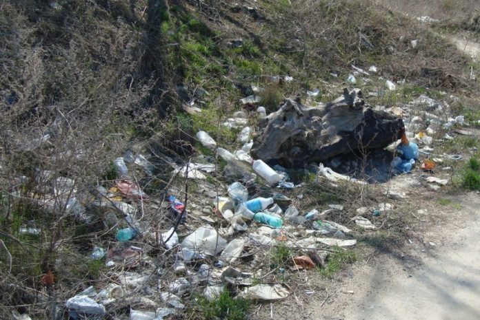 На Львівщині ліквідували 98 несанкціонованих сміттєзвалищ На Львівщині ліквідували 98 несанкціонованих сміттєзвалищ