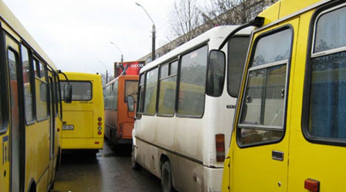 «Маршрутка висмоктує всю радість»: що не так із громадським транспортом у Львові? «Маршрутка висмоктує всю радість»: що не так із громадським транспортом у Львові?
