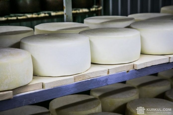 На Львівщині вироблятимуть сир з овечого молока кращих європейських зразків На Львівщині вироблятимуть сир з овечого молока кращих європейських зразків
