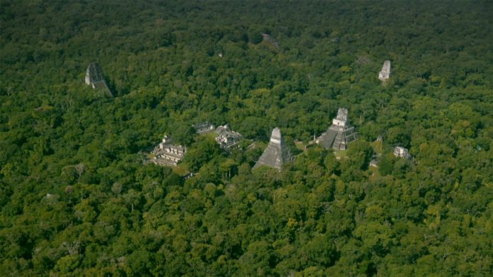 Археологи найшли в джунглях Гватемали мегаполіс майя
