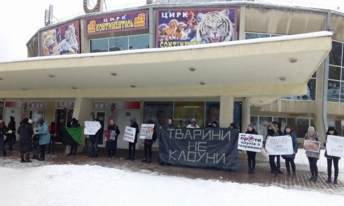 Тварини не клоуни: біля цирку у Львові відбувся пікет Тварини не клоуни: біля цирку у Львові відбувся пікет