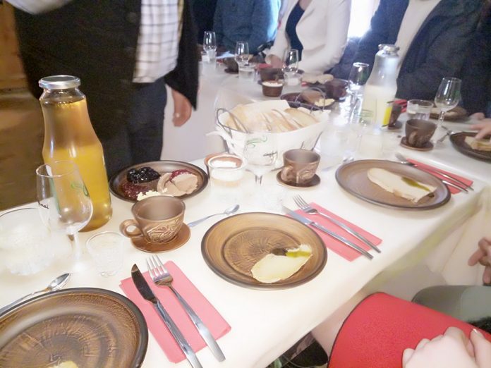 У Шевченківському гаю презентували екологічні продукти Карпат (фото) У Шевченківському гаю презентували екологічні продукти Карпат (фото)