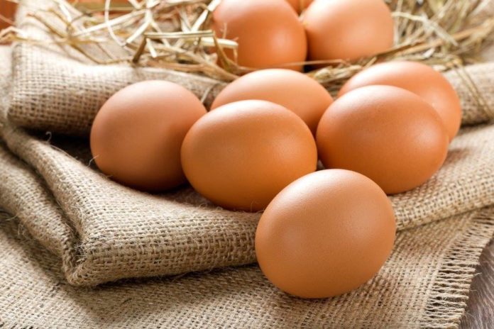 На ринку курячих яєць України підозрюють картельну змову На ринку курячих яєць України підозрюють картельну змову