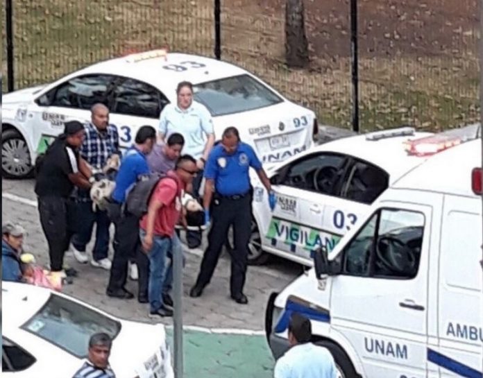 Біля університету в Мехіко сталась стрілянина: загинули дві людини Біля університету в Мехіко сталась стрілянина: загинули дві людини