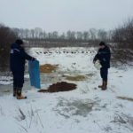 У Мостиському районі рятувальники разом із місцевими мешканцями рятували лелек, які ледь не замерзли - 5