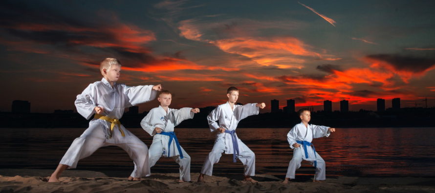 Karate-1-890x395