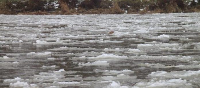 У річках Львівщини продовжується підйом рівня води У річках Львівщини продовжується підйом рівня води