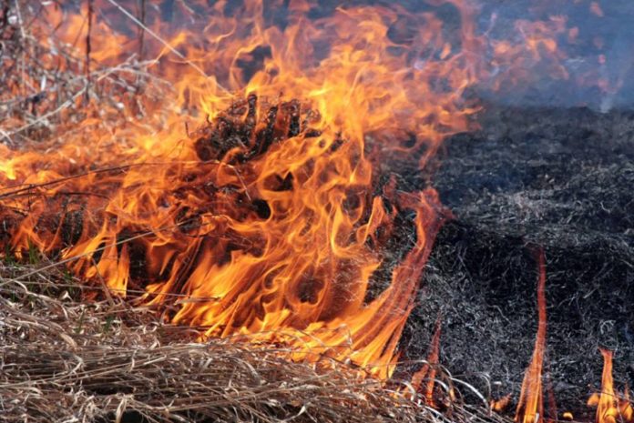 За добу пожежники Львівщини одинадцять разів виїжджали на гасіння сухої трави За добу пожежники Львівщини одинадцять разів виїжджали на гасіння сухої трави
