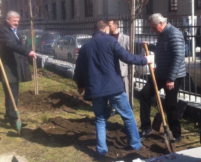 «Версаль Політехніки»: на території університету провели акцію з висадження лип (фото) «Версаль Політехніки»: на території університету провели акцію з висадження лип (фото)