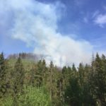 Пожежу у районі гірсько-лижного курорту «Захар Беркут» гасили понад сто осіб - 2