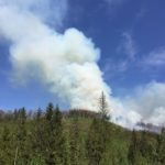 Пожежу у районі гірсько-лижного курорту «Захар Беркут» гасили понад сто осіб - 1