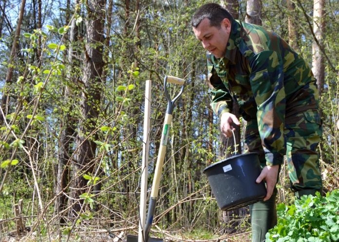 В Львівській області встановили новий рекорд України (фото) В Львівській області встановили новий рекорд України (фото)
