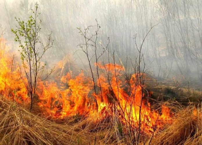 Українців попереджають про пожежну небезпеку Українців попереджають про пожежну небезпеку