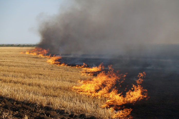 У Львові на вулиці Хлібній і Старознесенській горить суха трава У Львові на вулиці Хлібній і Старознесенській горить суха трава