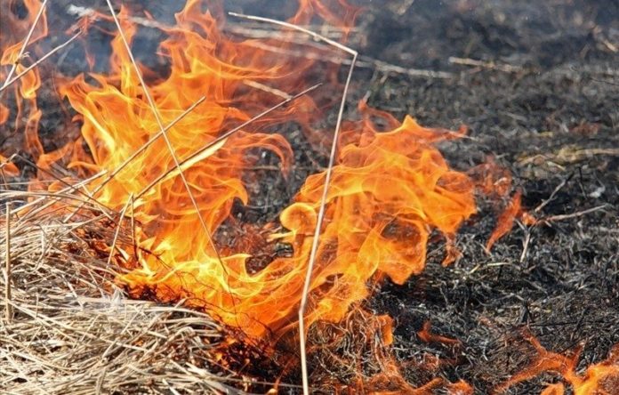 Мешканців Львівщини попереджають про надзвичайну пожежну небезпеку Мешканців Львівщини попереджають про надзвичайну пожежну небезпеку