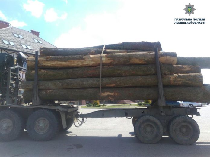 Водій пред’явив на деревину накладну дворічної давності Водій пред’явив на деревину накладну дворічної давності