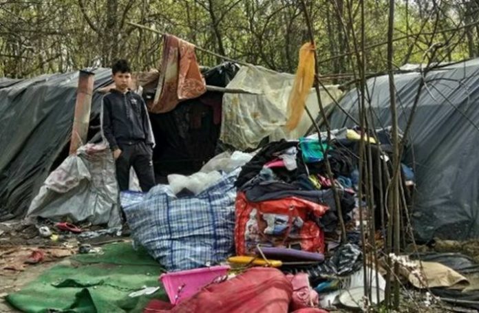 З парку Погулянка вигнали ромів З парку Погулянка вигнали ромів
