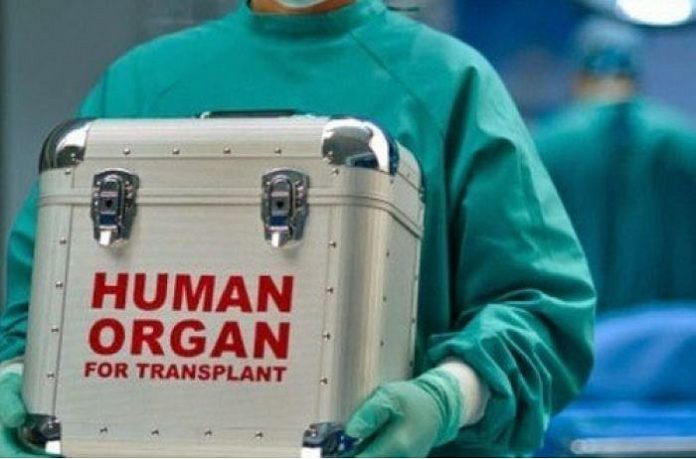Депутати дозволили посмертну трансплантацію органів Депутати дозволили посмертну трансплантацію органів
