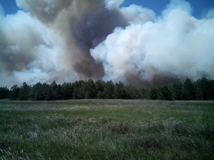 209 пожежників та 120 тонн води: на Херсонщині продовжують гасити пожежу у лісі 209 пожежників та 120 тонн води: на Херсонщині продовжують гасити пожежу у лісі