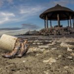 Морський світ, обгорнутий у пластик: National Geographic опублікував добірку приголомшливих фото - 10