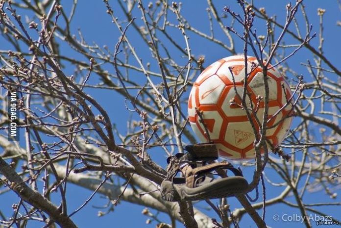 У Львові рятувальники знімали з дерева хлопця, який поліз за м’ячем У Львові рятувальники знімали з дерева хлопця, який поліз за м’ячем