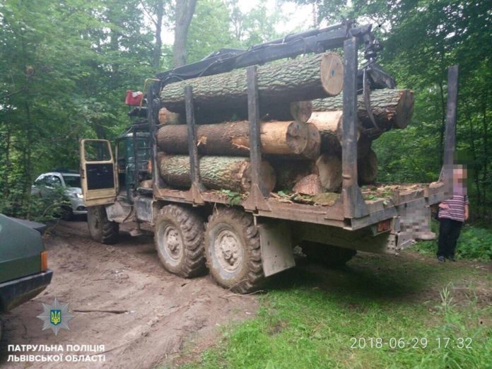 Львівські патрульні виявили автомобіль з деревиною без дозвільних документів Львівські патрульні виявили автомобіль з деревиною без дозвільних документів