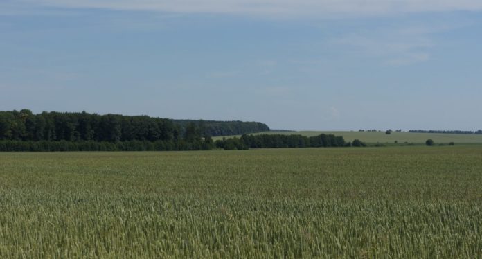 На Львівщині планують створити новий біосферний резерват На Львівщині планують створити новий біосферний резерват