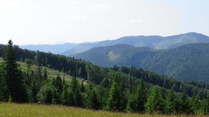 На Львівщині створять новий парк «Королівські Бескиди» На Львівщині створять новий парк «Королівські Бескиди»