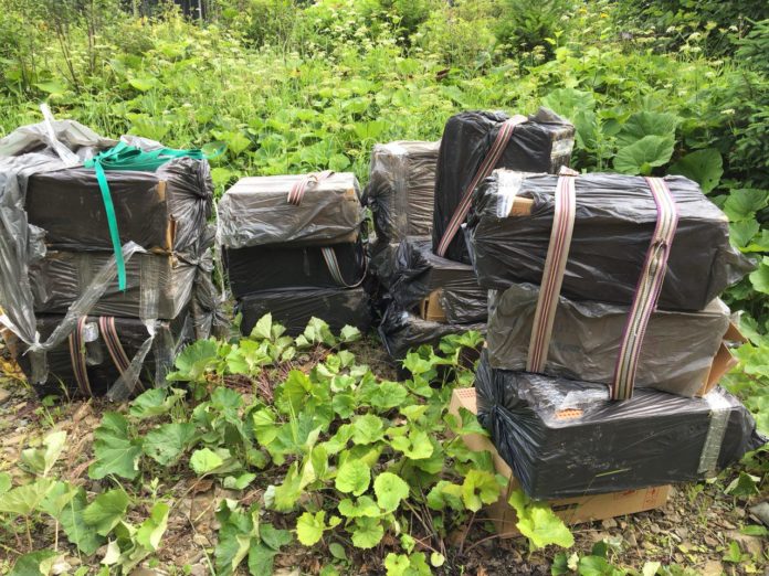 Сьогодні буковинські прикордонники знову зупиняли контрабандистів пострілами Сьогодні буковинські прикордонники знову зупиняли контрабандистів пострілами