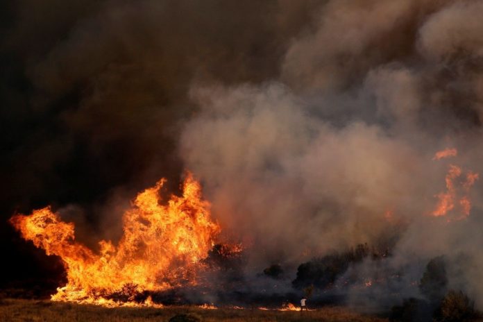 Через масштабні пожежі в Греції восьмеро українців попросили допомоги Через масштабні пожежі в Греції восьмеро українців попросили допомоги