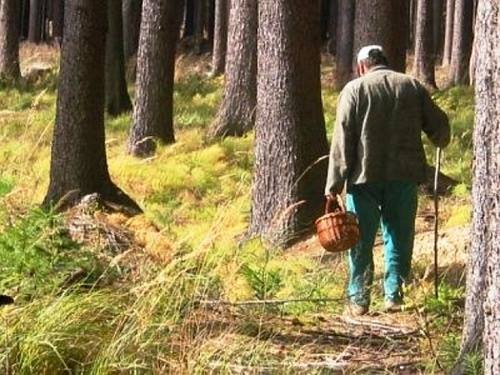 На Львівщині рятувальники впродовж 3 діб шукали заблукалого у лісі