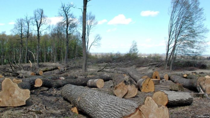 На Львівщині незаконно вирубали майже 5 га лісу На Львівщині незаконно вирубали майже 5 га лісу