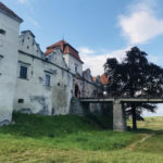 Свірзький замок став сценою для всесвітньовідомої опери (фото) - 9