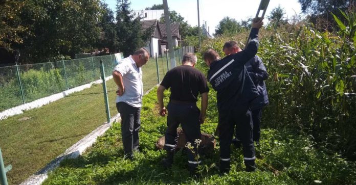 На Львівщині рятувальники витягнули собаку, що впав у криницю (відео) На Львівщині рятувальники витягнули собаку, що впав у криницю (відео)
