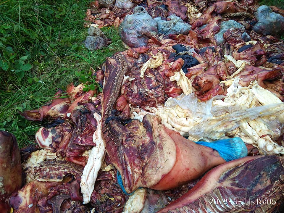 На Жовківщині виявили кілька тонн решток тварин (фото)