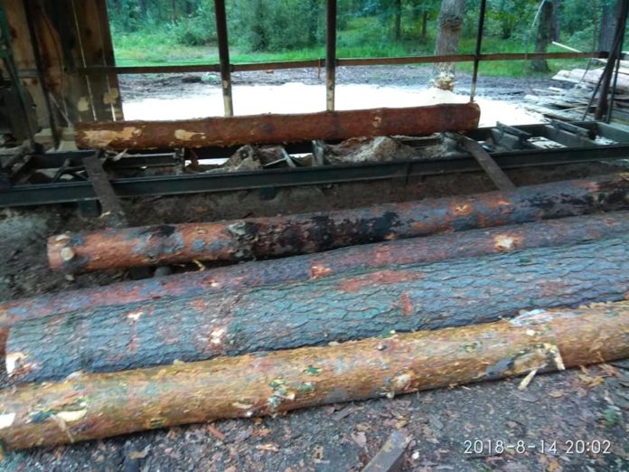 Незаконна пилорама біля Жовкви: правоохоронці відкрили кримінальне провадження Незаконна пилорама біля Жовкви: правоохоронці відкрили кримінальне провадження