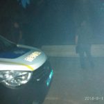 Незаконна пилорама біля Жовкви: правоохоронці відкрили кримінальне провадження - 7