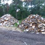 Незаконна пилорама біля Жовкви: правоохоронці відкрили кримінальне провадження - 4