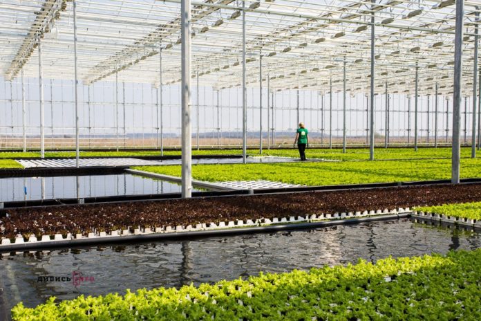 Львівщина стала на 25% більше експортувати власних товарів Львівщина стала на 25% більше експортувати власних товарів