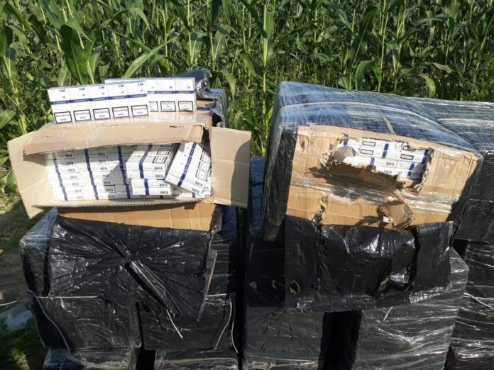 На Закарпатті тракторист тікав від прикордонників і у кукурудзі загубив причіп цигарок На Закарпатті тракторист тікав від прикордонників і у кукурудзі загубив причіп цигарок